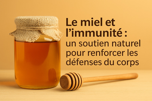 Le miel et l’immunité : un soutien naturel pour renforcer les défenses du corps